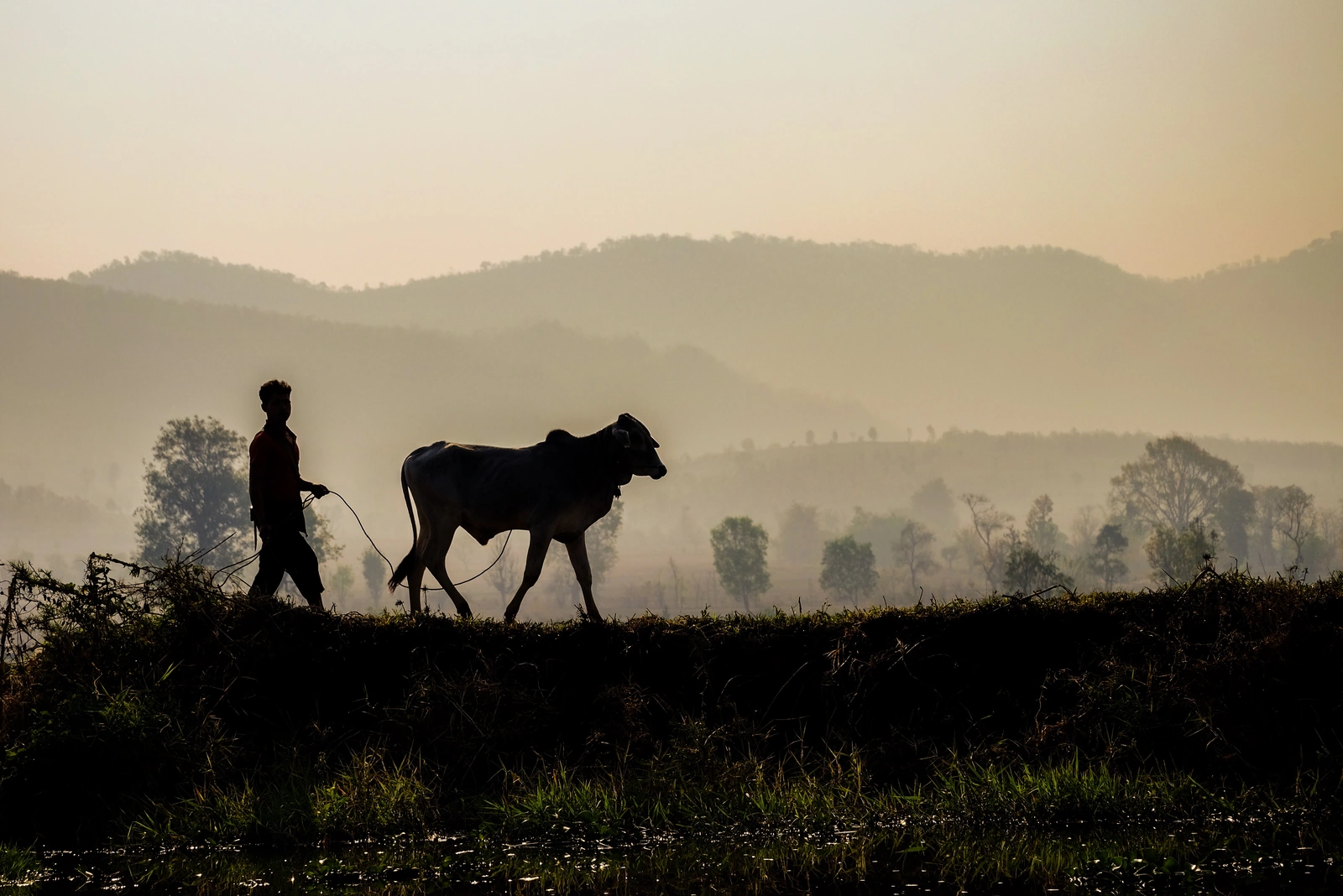 Encore des couches au Lac Inle, Myanmar, 2015