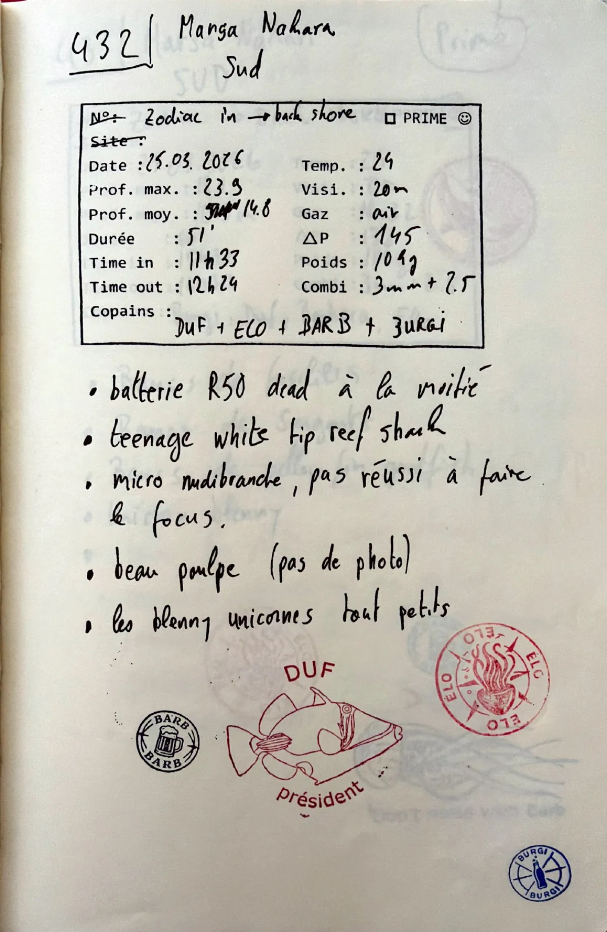 Page du carnet de plongée #432