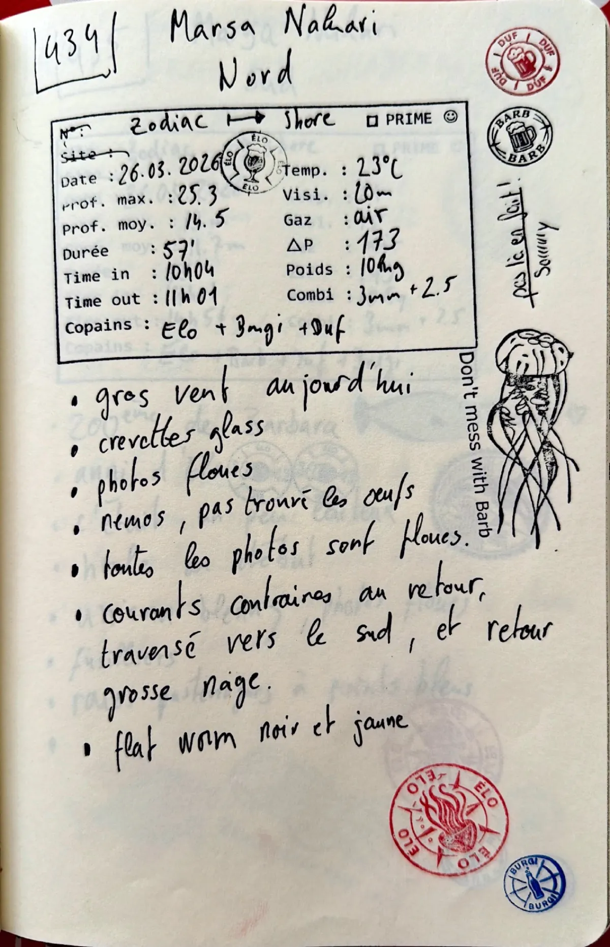 Page du carnet de plongée #434