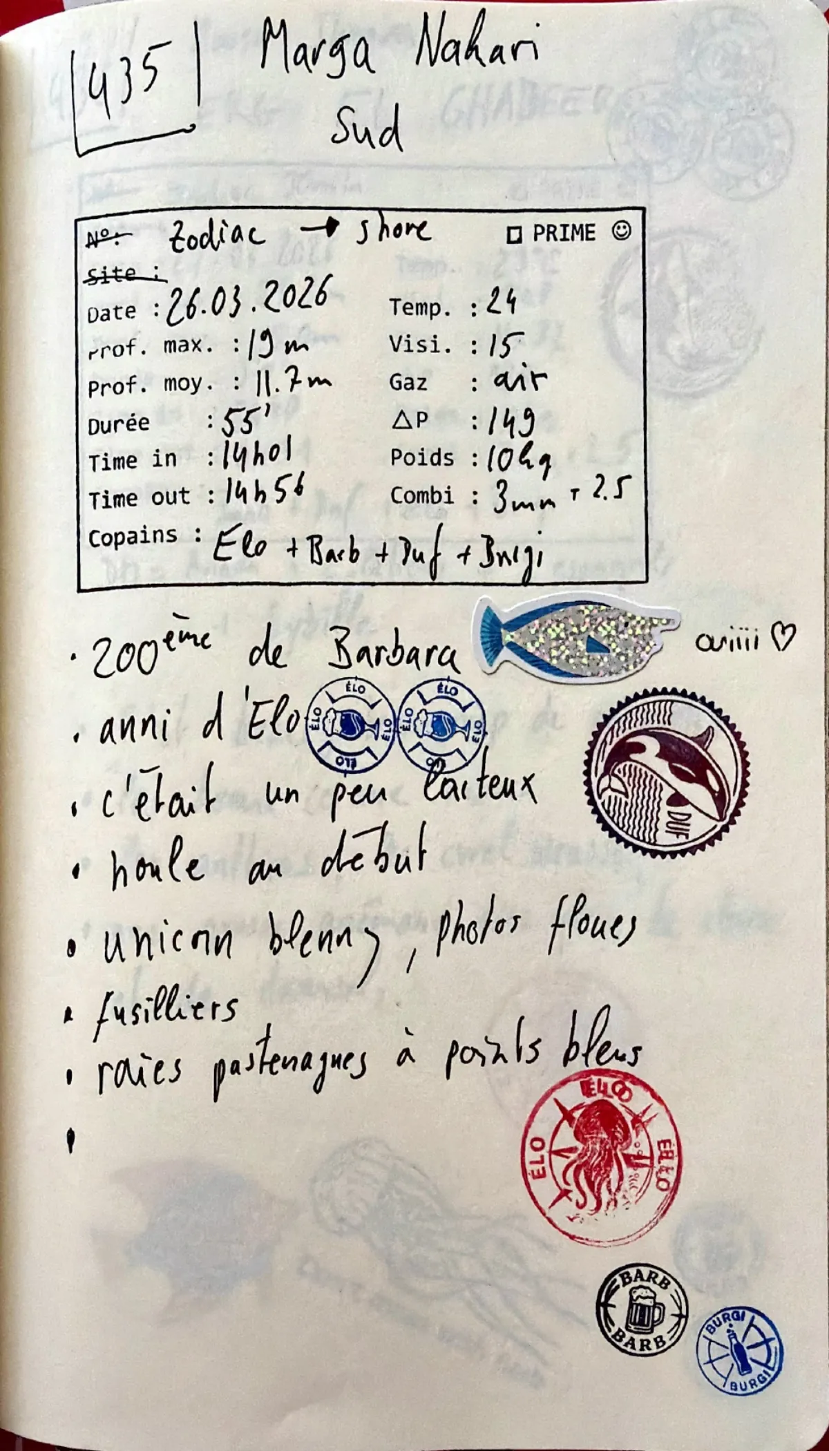 Page du carnet de plongée #435