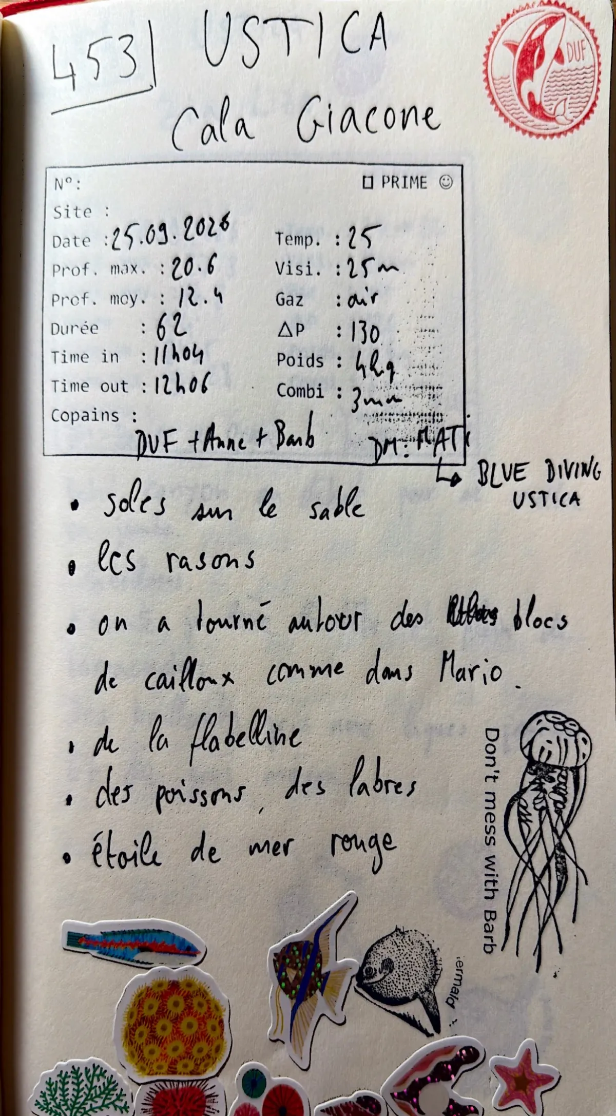 Page du carnet de plongée #453