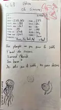 Plongee 448