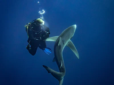 Açores — septembre – octobre 2017