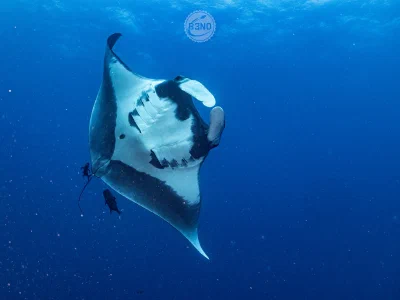 Mexique — mars 2022